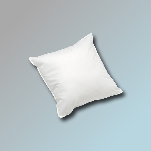 30 x 30 cm Coussin 170 g en blanc Coussin de rembourrage Coussin de canapé Coussin intérieur Coussin en plumes Coussin câlin