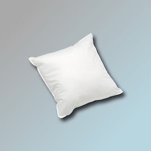 30 x 30 cm pillow 200 g in white filling pillow sofa cushion inner cushion feather pillow
