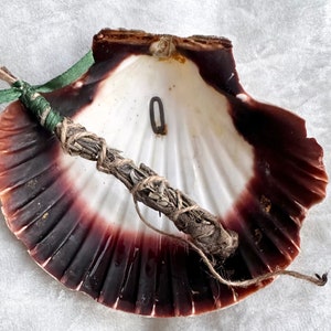 Puede incluir: Una concha de mar marrón y blanca con un manojo de hierbas secas atado con cuerda en su interior. La concha está abierta y las hierbas son visibles.