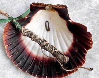 Reuze sint-jakobsschelp, schaal, kom, altaarschaal, ideaal zeeheksenaltaar, hekserij, Wicca, woondecoratie.
