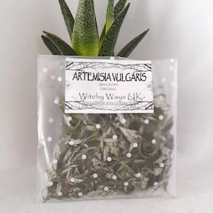 Mugwort - Artemisia Vulgaris - Latin name – Mugwort Leaves Wicca, Greenwich, Witchcraft, Hedge Witch, Spell work, Spells, organic dried leaf