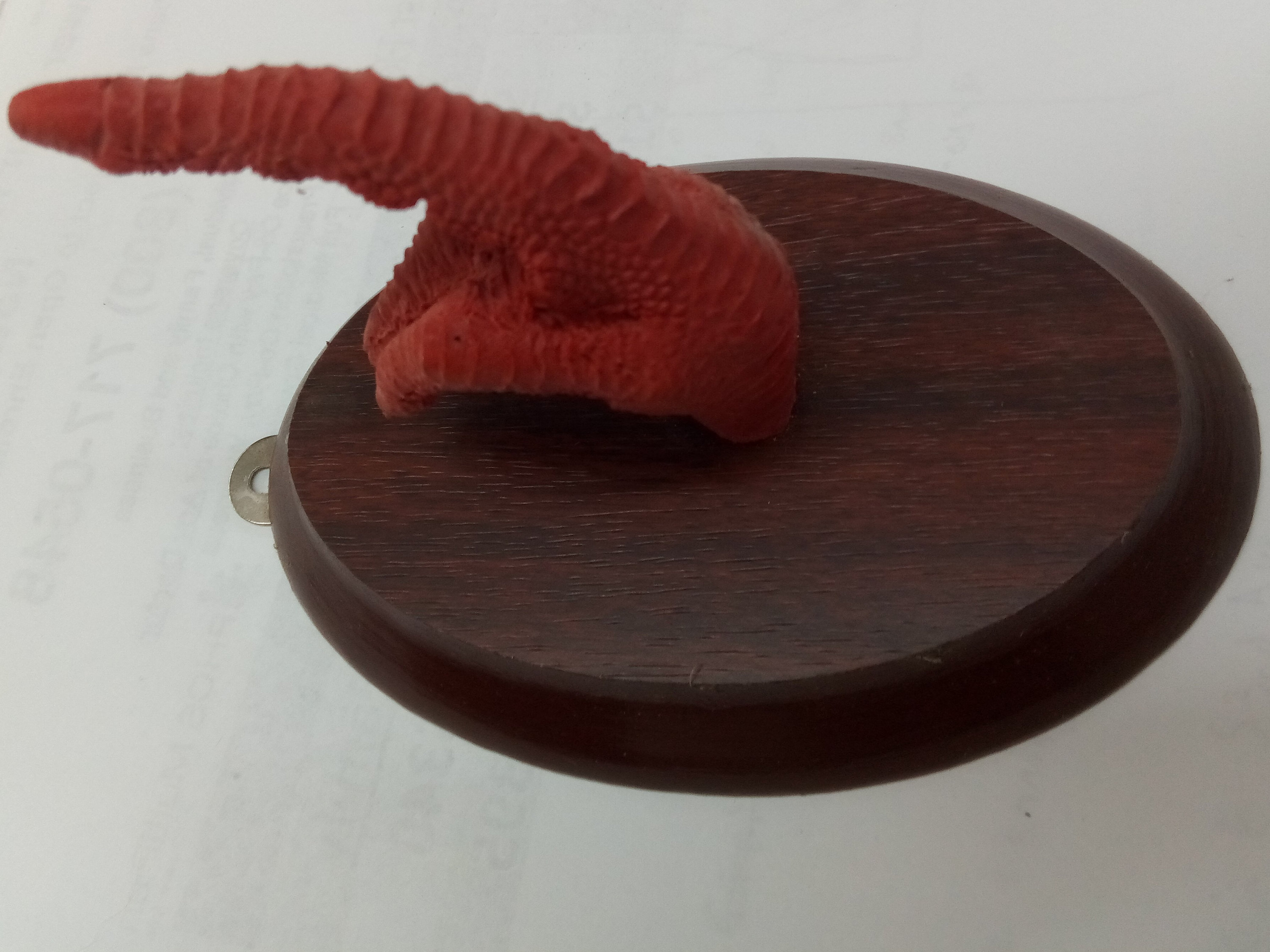 Faux Turkey Foot Hat Hanger Etsy