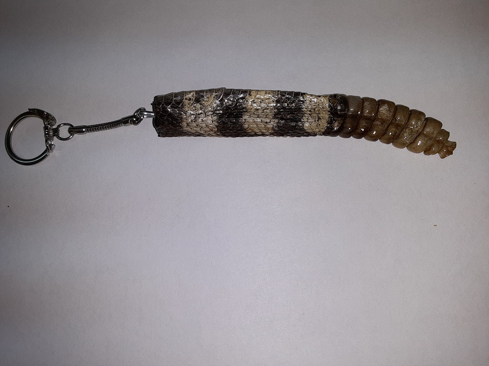 Rattlesnake Tail and Rattle Keychain Etsy