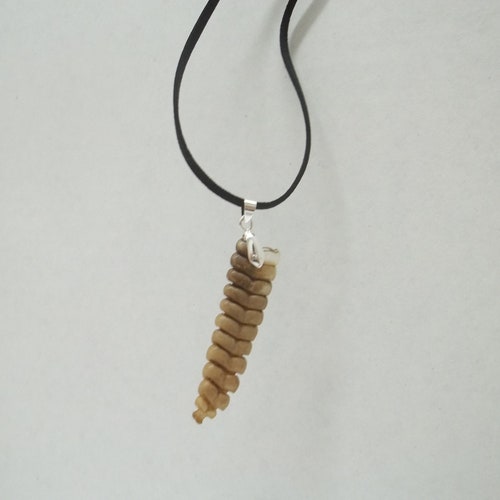 Western Diamondback Rattlesnake Rattle Necklace Etsy