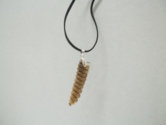 Rattlesnake Rattle Pendant Snake Necklace Spirit Animal Bone Jewelry Kids  Boho N3955 - Etsy