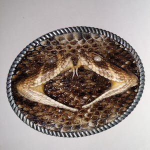 Western Belt Buckle with Two Western Diamondback Half Heads