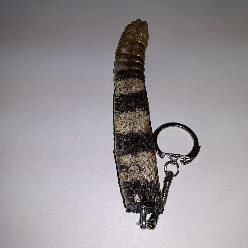 Snake Keychain - Etsy