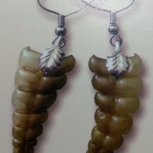 Western Diamondback Rattlesnake Rattle Earrings