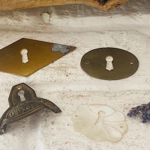 Könnte beinhalten: Eine Auswahl an antiken Messing-Schlüssellochabdeckungen und einer dekorativen Rosette. Die Schlüssellochabdeckungen haben verschiedene Formen, darunter ein Diamant, ein Oval und ein Griff. Eine geschnitzte, schmetterlingsförmige Rosette aus Perlmutt ist ebenfalls vorhanden.