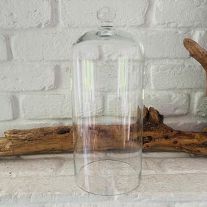 Könnte beinhalten: Eine transparente Glasglocke mit abgerundeter Oberseite und kleinem Knopf. Die Glocke ist zylindrisch und steht auf einer weißen Oberfläche. Ein Stück Treibholz befindet sich hinter der Glocke vor einer weißen Backsteinmauer.
