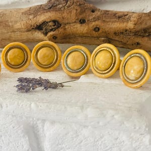 Könnte beinhalten: Eine Sammlung von sechs runden Schrankknöpfen im antiken Stil. Die Knöpfe haben eine hellgelbe Mitte mit einem silberfarbenen Ring und einem dunkleren gelben Außenring. Ein Zweig getrockneten Lavendels liegt in der Nähe der Knöpfe.