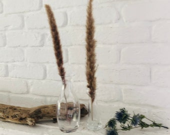 Holland*2er Set schlichte kleine Vasen Glas* Hygge Skandi * inkl. Trockenblumen
