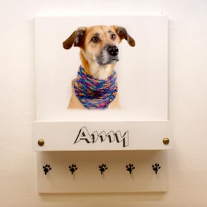 Dog wardrobe, linen wardrobe XL with personal photo and name, personalized, individual, unique