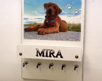 Dog wardrobe, leash wardrobe XL with personal photo and name, personalized, individual, UNIQUE