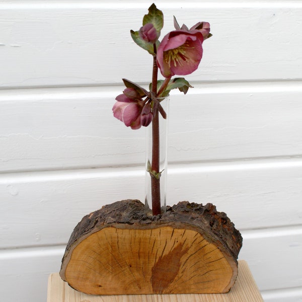 VASE, Vase aus Baumscheibe,  Holz, Erle m. Rinde und Glasvase, TISCHDEKORATION HOLZ