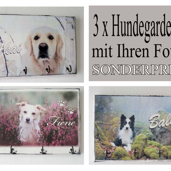 Leinenhaken, individualisierte Hundegarderobe, persönliches Foto und Namen, Hakenleiste für Hundeleine, Leine Hundegarderobe