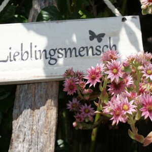 Holzschild Lieblingsmensch, shabby chic, Geschenk für Lieblingsmensch afbeelding 5