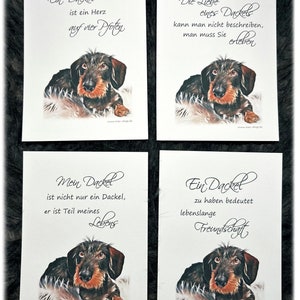 4 x DACKEL Sprüche Karte Postkarte Glückwunsch Geburtstag Besserung Love Hund Dachs Wurst Rauhaardackel Anlässe Liebhaber TOP DIN 6
