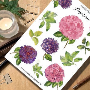 Autocollant HYDRANGEA autocollant HYDRANGEA aquarelle rosé violet rose aquarelle aquarelle fleurs sticker hortensias violet