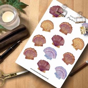 Stickers shells watercolor scallop stickers Shells Shell watercolor watercolour underwater world coral