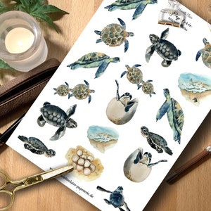 Stickers schildpadden aquarel schildpad Stickers aquarel aquarel schildpadden schelpen oceaan onderwaterwereld zeedieren
