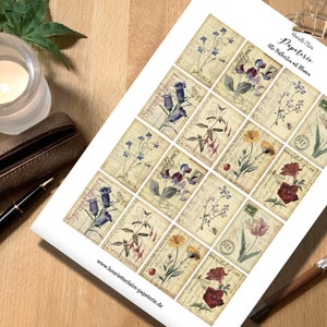 Stickers Antique Postcards Flowers Stamps postcards stamps flowers antique vintage stickers handdrawn