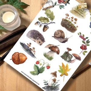 Stickers autumn forest mushrooms watercolor stickers autumn forest watercolor hedgehog hedgehogs acorns autumn leaves Momiji