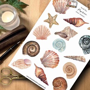 Könnte beinhalten: Ein Blatt Papier mit Aquarellillustrationen verschiedener Muscheln und Seesterne. Die Illustrationen sind in Braun-, Beige- und Blautönen gehalten. Auf dem Papier steht auch der Text "Henriette Claire Papeterie" und "Shells Notebook".