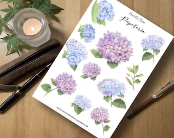 Aufkleber Hortensien HYDRANGEA Rosa Blau lila hellblau zarte Blumen lila violett stickers handmade handdrawn watercolor hydrangeas