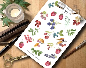 May include: A sheet of watercolor stickers featuring various berries, including strawberries, blueberries, and raspberries. The stickers are on a white background and are perfect for adding a touch of nature to your planner, journal, or scrapbook.
