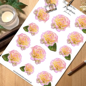 Aufkleber Rosen Zart Rosé Rosa Sticker rose roses stickers Ranunkeln persönlich Hochzeit Geburtstag Geschenk Geschenkaufkleber