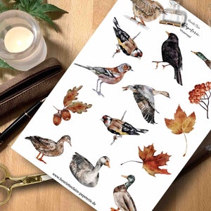 Sticker Birds In Winter Watercolor Birds Winter Birds Migratory Birds Sticker Stickers watercolor birdlover Gift for bird lovers