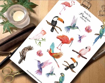 Sticker Exotic Birds Watercolor Macaw Sticker Exotic birds jungle flamingo stickers bird stickers bird colorful birds