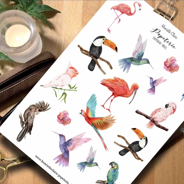 Aufkleber Exotische Vögel Aquarell Ara Sticker Exotic birds jungle flamingo stickers vogelsticker vogel bunte Vögel