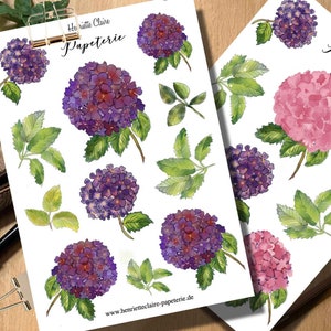 Pegatina HORTENSIA HORTENSIA acuarela rosado violeta rosa HORTENSIA pegatina acuarela violeta Henriette Claire