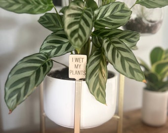 Set of 5 Funny Plant Stakes and Markers Garden Decor