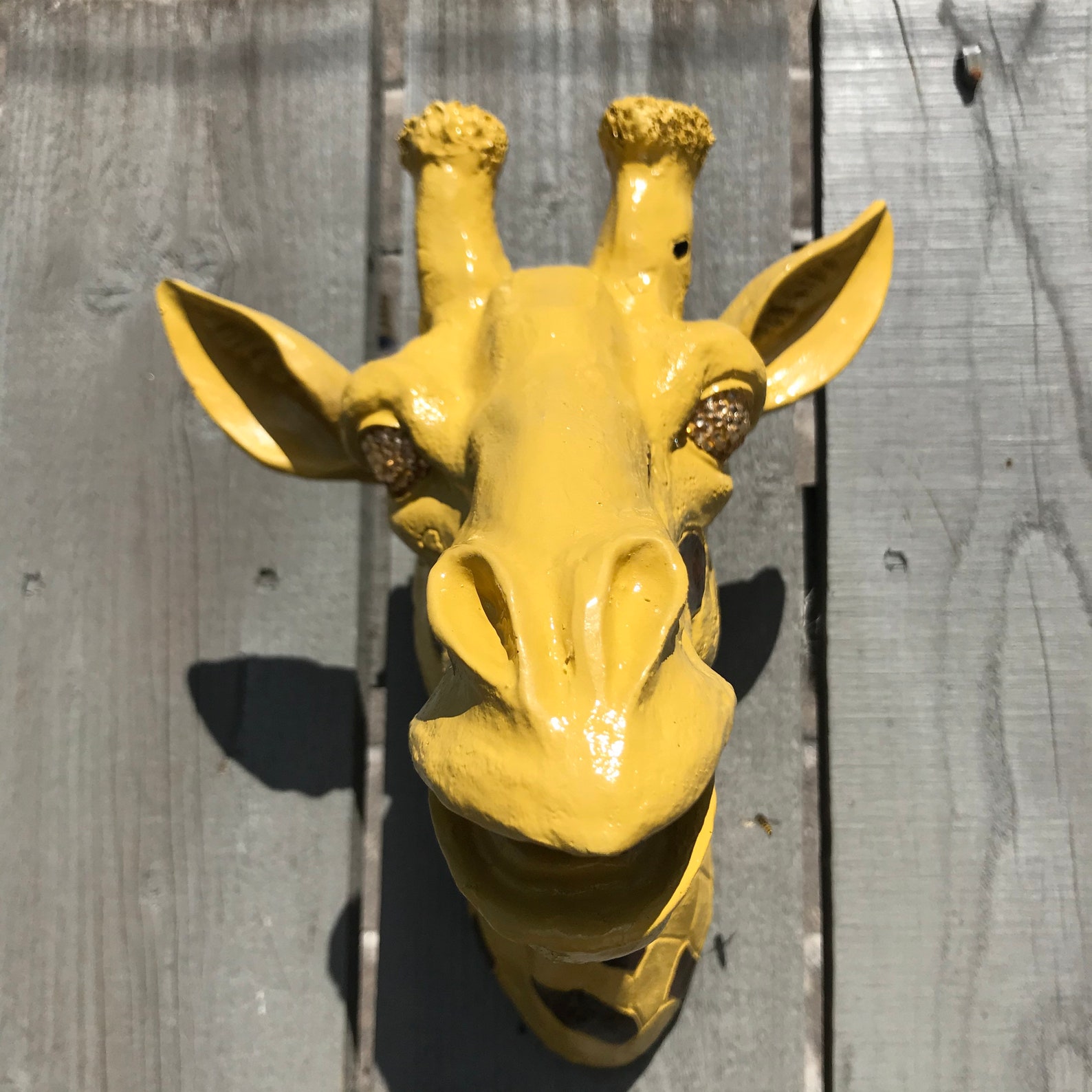 GIRAFFE Head Wall Mount | Etsy