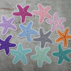 small starfish patch/application sea creature underwater world color selection school enrollment school cone