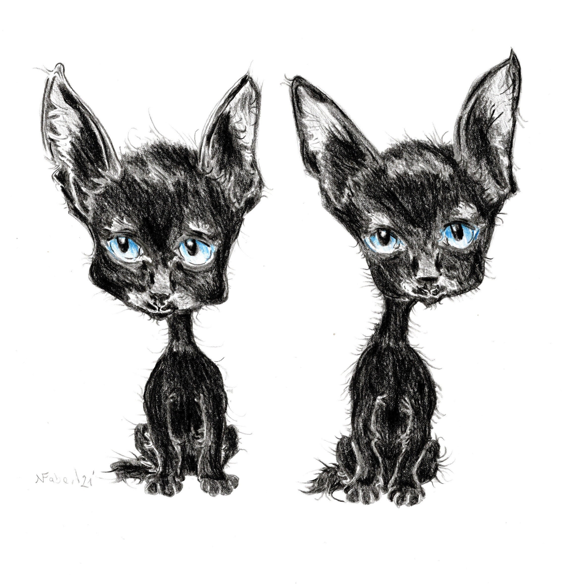 Cat caricature in colour personalized | Etsy