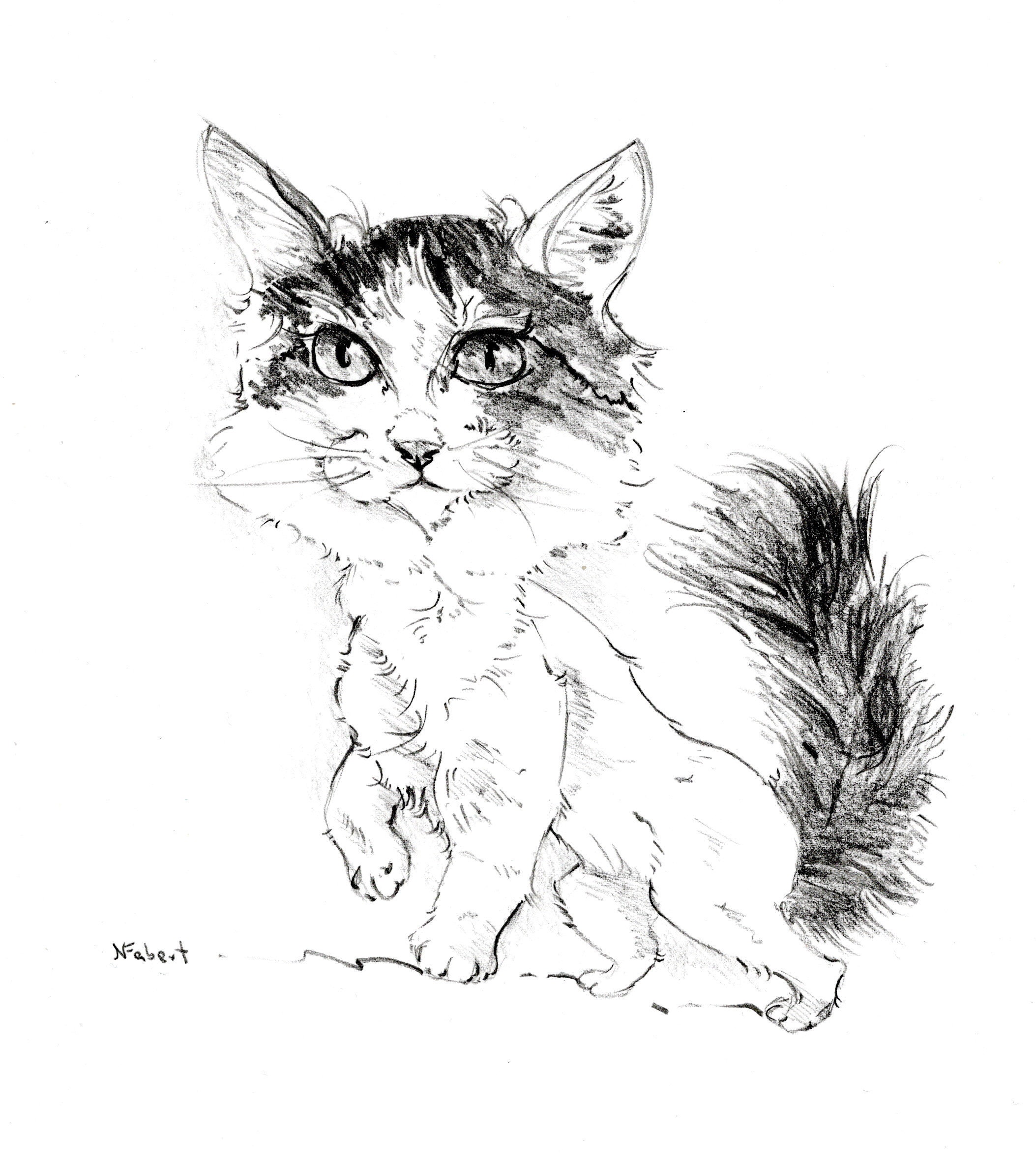 Cat caricature in colour personalized | Etsy