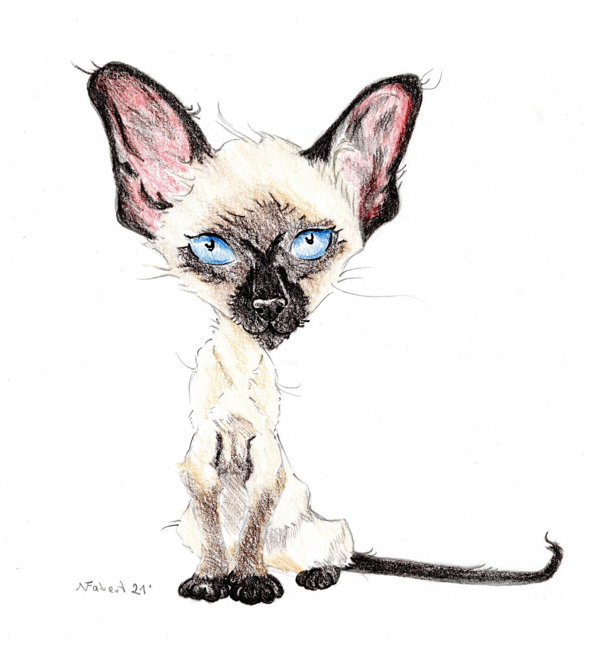 Cat caricature in colour personalized | Etsy