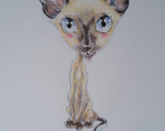 siam cat caricature, special portrait printed in a signed and limited edition. Art print based on an original drawing