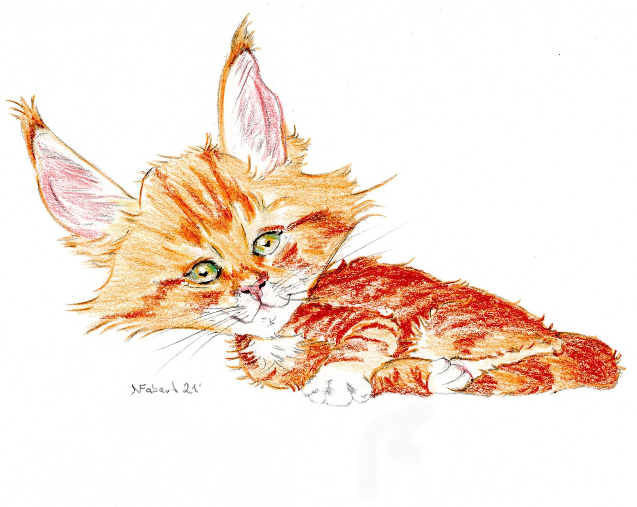 Cat caricature in colour personalized | Etsy