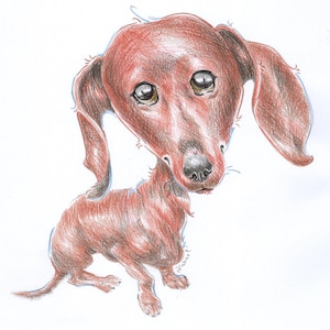 Dog caricature in color (personalized)