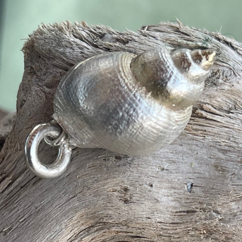 Beautifully shaped sea snail as a pendant made of 925 silver, solid and elegant image 2