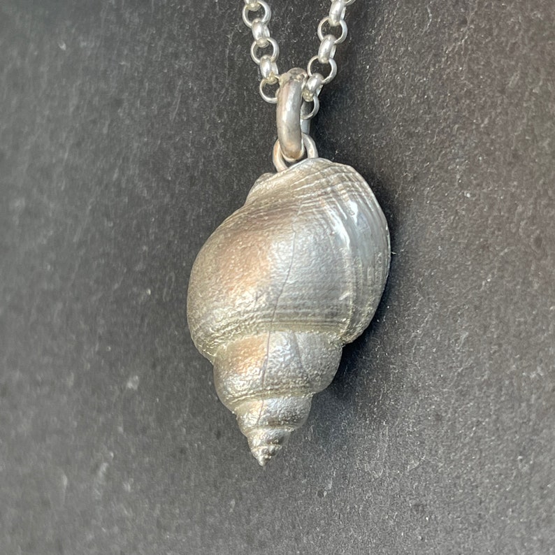 Beautifully shaped sea snail as a pendant made of 925 silver, solid and elegant Silver