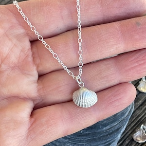 Könnte beinhalten: Eine silberfarbene Halskette mit einem kleinen, strukturierten Muschelanhänger. Der Anhänger hängt an einer zarten, dünnen silberfarbenen Metallkette mit ovalen Gliedern. Der Muschelanhänger hat eine fächerartige Form mit vertikalen Rillen.