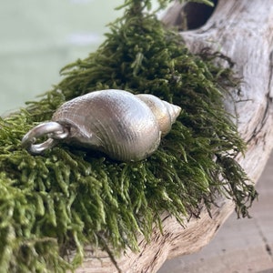 Beautifully shaped sea snail as a pendant made of 925 silver, solid and elegant image 4