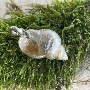 Beautifully shaped sea snail as a pendant made of 925 silver, solid and elegant image 5