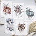 see more listings in the CARTES FineArt section